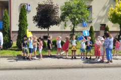 IMG_20250625_104345 (Mały)