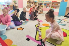 IMG_20251127_090427 (Mały)