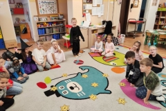 IMG_20251127_112335 (Mały)