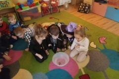 Messenger_creation_89 (2) (Mały)