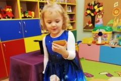 IMG_20191128_093353_resized_20191202_034327950 (Mały)