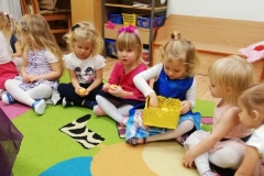 IMG_20191128_104734_resized_20191202_035329364 (Mały)