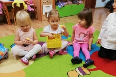 IMG_20191128_104748_resized_20191202_035333081 (Mały)