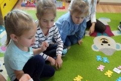 IMG_20191125_093049 (Mały)