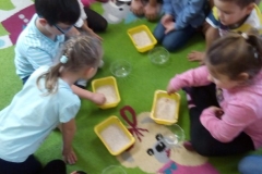 IMG_20191125_100923 (Mały)