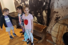 IMG_20240612_125749520 (Mały)