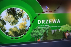 IMG_20250318_115943 (Mały)