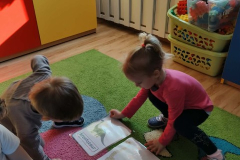 Messenger_creation_6C9A0C56-404C-4920-AD86-CCDF617299A6 (Mały)