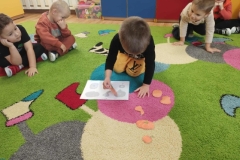 Messenger_creation_4E1D72F1-6C0D-42A3-8B91-BE8752B5B364 (Mały)