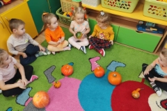 Messenger_creation_5931908C-D678-41CC-AB05-3F21E11E02BD (Mały)