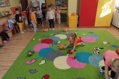 Messenger_creation_D314FF21-DB56-4625-A786-99F97A4B1640 (Mały)