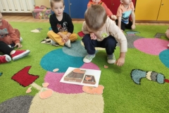 Messenger_creation_F9433157-AD05-4D9E-AA9F-E662D104549A (Mały)