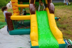 received_355506324216332 (Mały)