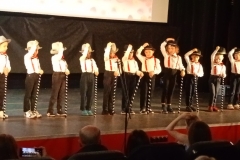 IMG20250523110350 (Mały)