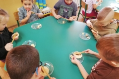 IMG_20241125_101803_resized_20241129_104158202 (Mały)