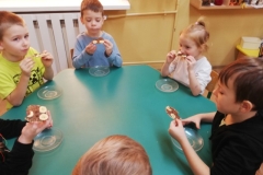 IMG_20241125_102455_resized_20241129_104158759 (Mały)