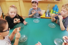 IMG_20241125_102509_resized_20241129_104203971 (Mały)