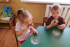 IMG_20241125_102521_resized_20241129_104200439 (Mały)