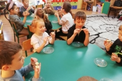 IMG_20241125_102530_resized_20241129_104203438 (Mały)