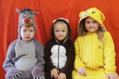 IMG_20241125_111349_resized_20241129_104706329 (Mały)