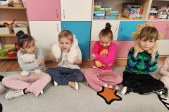 IMG_20251125_090319 (Mały)