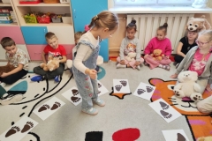 IMG_20251125_094708 (Mały)