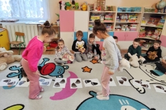 IMG_20251125_095101 (Mały)