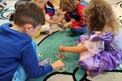 IMG_20250919_095347 (Mały)