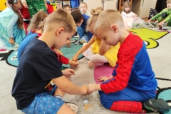 IMG_20250919_095357 (Mały)