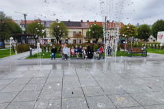 IMG_20260924_110136 (Mały)