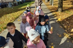 Messenger_creation_019804DC-D762-4EB6-B629-7AE5DB8D7577 (Mały)