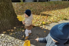 Messenger_creation_BFEE0F40-513B-4BB4-8BFB-F15B871DEFC9 (Mały)