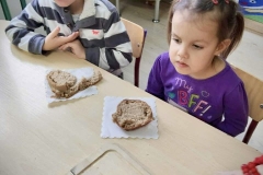 Messenger_creation_1AC47B0A-FEF4-4838-BD64-B562AE9BBF0F (Mały)