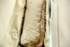 Messenger_creation_CAF7E0C6-599A-4EFD-8EFF-917F50D49EA4 (Mały)