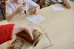 Messenger_creation_D4564BE9-79AB-4EDC-9E98-0AB9BF3A0B6B (Mały)