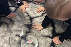 485084268_9829308333774349_8481897833423411601_n (Mały)