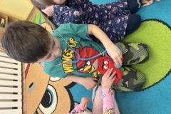 IMG_20250204_090246 (Mały)