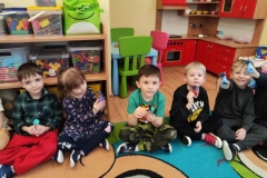 IMG_20250204_093102 (Mały)