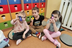 IMG_20250204_093142_1 (Mały)