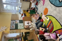 IMG_2068-1739911544299 (Mały)