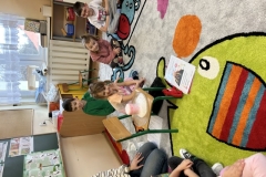 IMG_2072-1739911549513 (Mały)