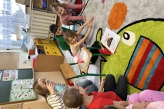 IMG_2076-1739911545343 (Mały)