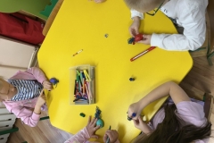 IMG_2124-1739911551866 (Mały)