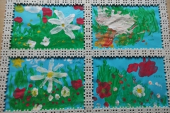 IMG_20240611_152539 (Mały)