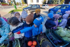 Messenger_creation_03468889-C975-46EF-BB81-6BD411ED59D0 (Mały)