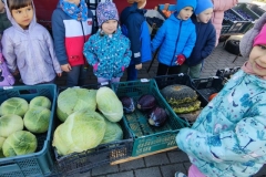 Messenger_creation_2AA08E11-B527-4402-B3D6-4B62CC2D9C2D (Mały)