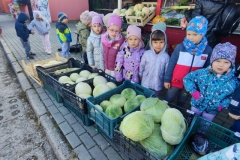 Messenger_creation_36A4F219-261E-4BFB-BE22-39251FD0708D (Mały)