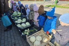 Messenger_creation_41BF687B-04FC-4958-8F02-601329852DAD (Mały)