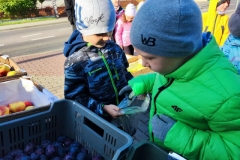 Messenger_creation_AB108660-6048-4FD0-B02F-B0D1F5940A63 (Mały)