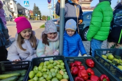 Messenger_creation_C862484D-A8A3-4BE7-8941-4C41C62FDEAE (Mały)